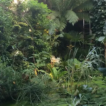 Garden Centre